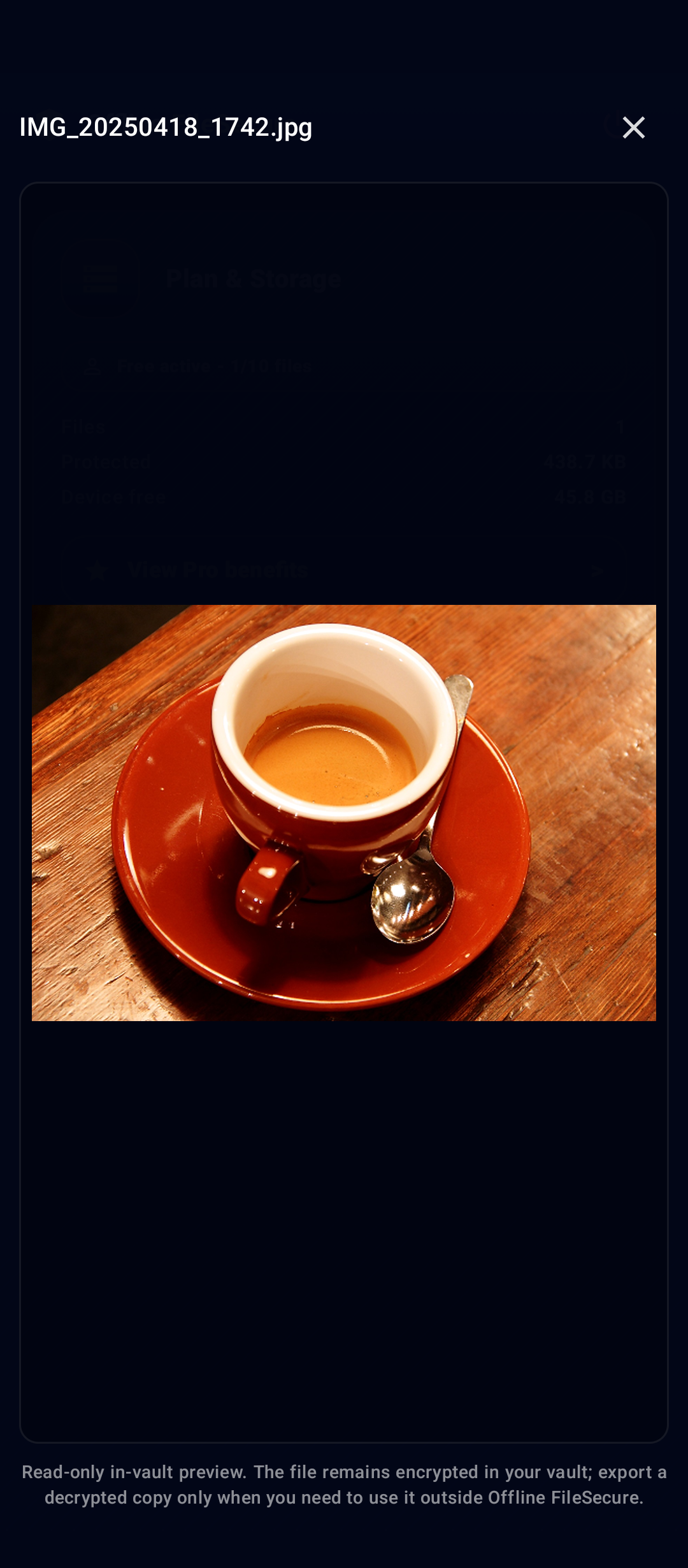 Offline FileSecure image preview screen